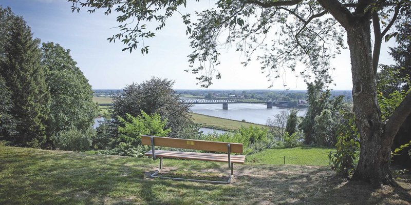 Restaurant Elbterrasse Lauenburg - Unser Restaurant befindet sich inmitten eines Parks mit wunderschönem Blick auf die Elbe, wo sich der schönste Tag am besten auf Fotos verewigen lässt.