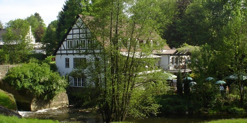 Historical Idyll in the woods of Saxony