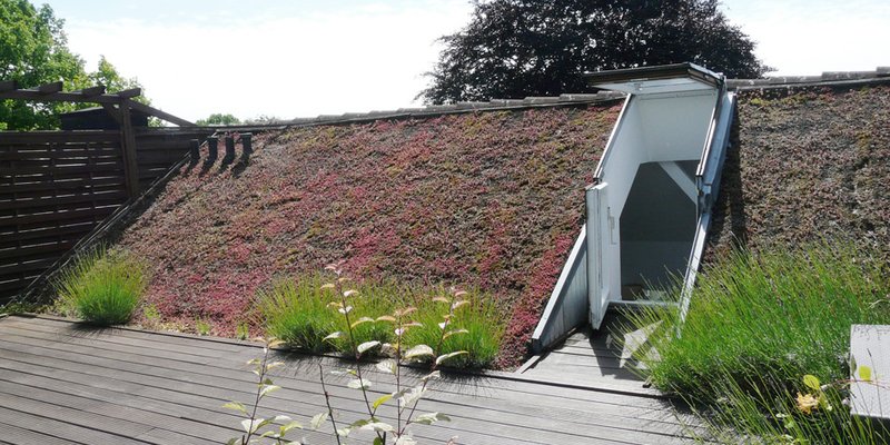 modern location in HH Bramfeld